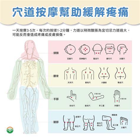 虎口是哪里|合谷